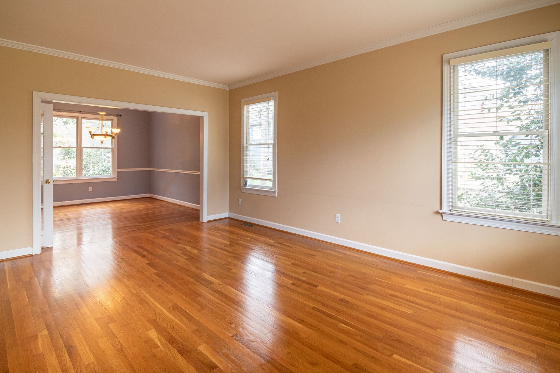 Interior, Doors & Windows