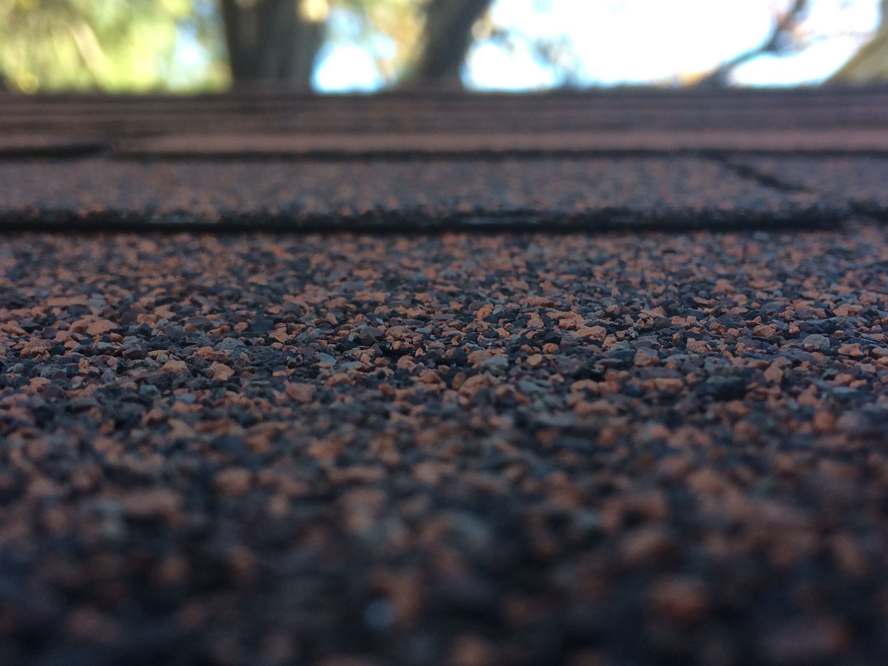 Up on the roof, rain or shine.
